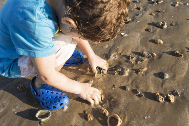 Child with blue shirt playing on the seashore with sand and with shells. - Foto, immagini