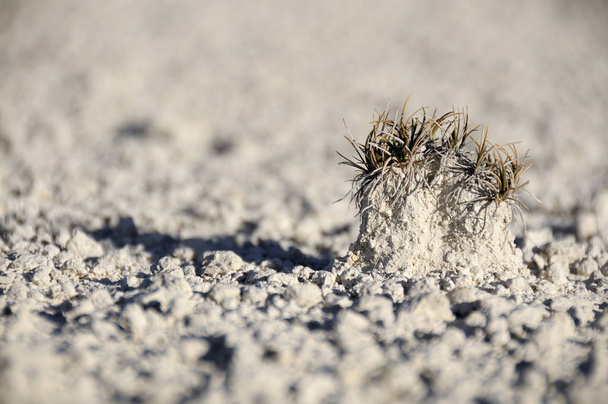 Erosión del suelo, arena blanca
 - Foto, Imagen