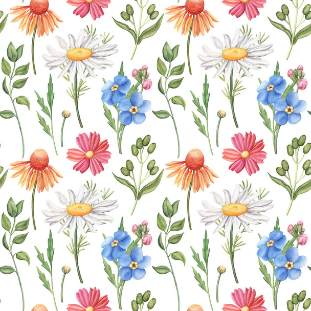 Seamless pattern with wild summer flowers - camomile, cornflower, forget-me-not, cosmos and greenery, watercolour raster illustration on white background. Seamless watercolor pattern with wild flowers - Фото, изображение