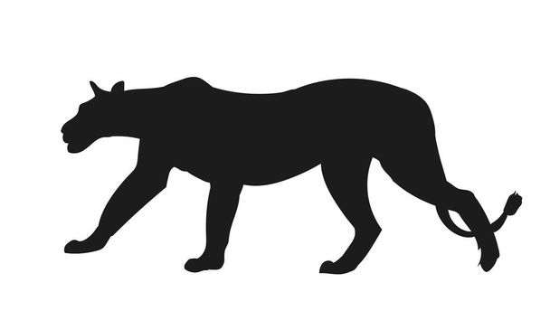 lioness silhouette, vector, white background - Vektör, Görsel