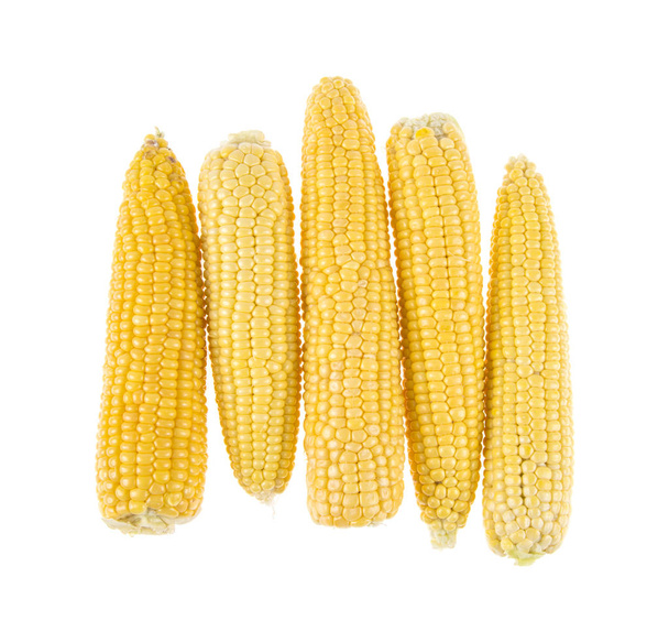 Mais auf isoliertem weißen Hintergrund - Foto, Bild