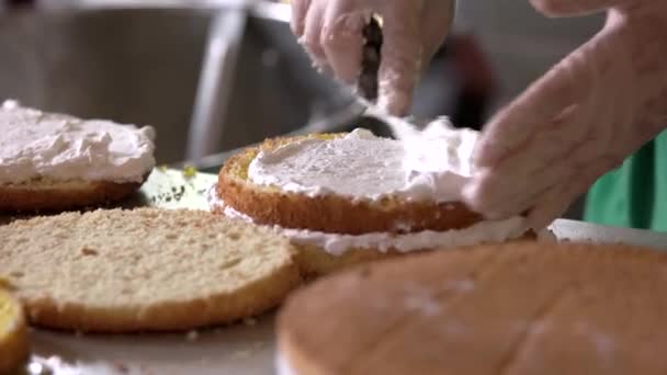 Chef putting fluffy frosting on cake. - Footage, Video