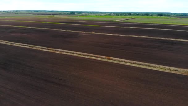 Drone shot of fertile green fields - Felvétel, videó