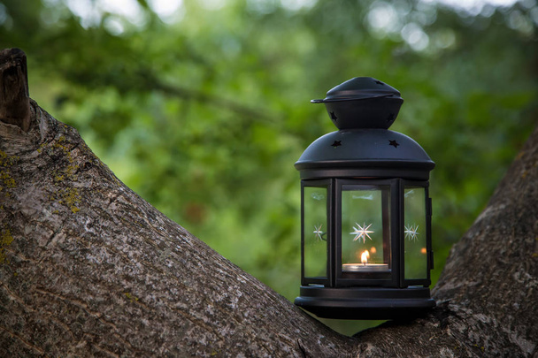 Lanterna com uma vela na floresta de verão
 - Foto, Imagem