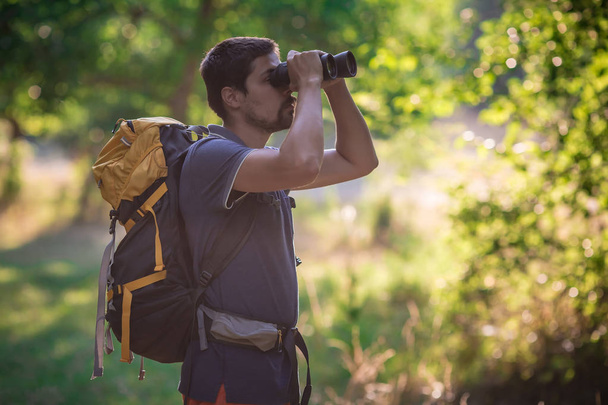 Male hiker looking through binoculars in forest - Фото, изображение