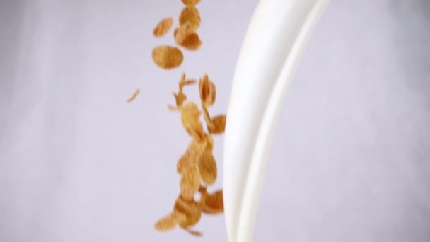 Fiocchi di mais, fragole, lamponi e kiwi cadono e si intersecano con un flusso di latte al rallentatore
. - Filmati, video