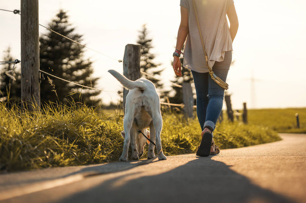 πορτρέτο του νέοι χαριτωμένο ευτυχείς Λαμπραντόρ Ριτρίβερ σκύλο κουτάβι έξω στη φύση, περπάτημα με κορίτσι - Φωτογραφία, εικόνα