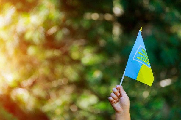 Ukrainian patriot hold of ukrainian flag a summer day - Photo, Image