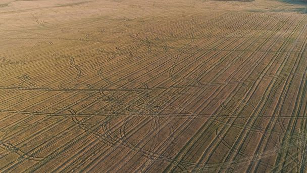 Flight above green and yellow fields early spring, aerial panoramic view photo. - 写真・画像
