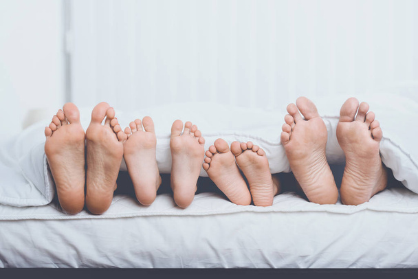 Close up Family in Bed under Cover Showing Feet - Zdjęcie, obraz