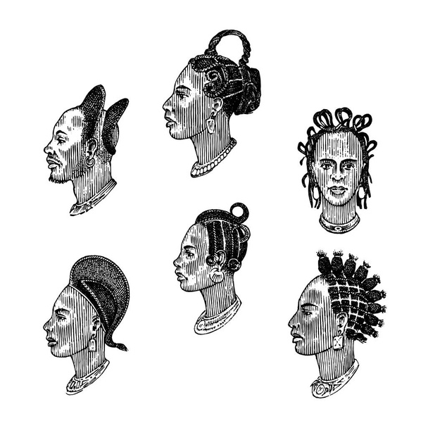African national male hairstyles. Profile of a man with curly hair. Different Afro Dreadlocks. Ancient faces of people. Portrait Engraved hand drawn old sketch. Southern tribes. - Vector, Image