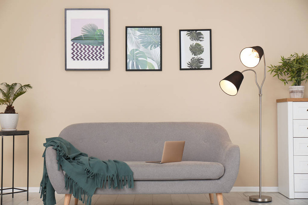 Stylish light room interior with comfortable gray sofa - 写真・画像