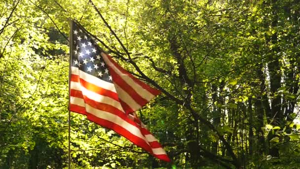    日当たりの良い木をスローモーションでアメリカ国旗を閉じる. - 映像、動画