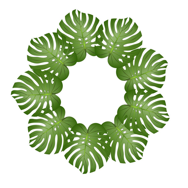 Philodendron Monstera Leaf Wreath isolated on White Background. Vector Illustration. - Vektör, Görsel