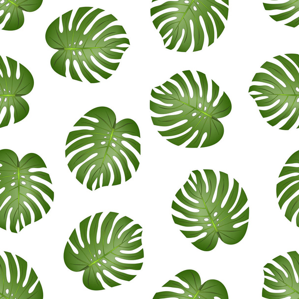 Philodendron Monstera Leaf Seamless isolated on White Background. Vector Illustration. - Vecteur, image