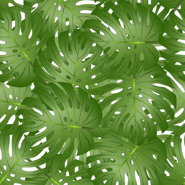 Philodendron Monstera Leaf Seamless isolated on White Background. Vector Illustration. - Vektor, Bild