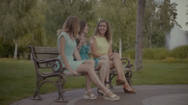 Pretty women sitting and gossiping on bench in park - Materiał filmowy, wideo