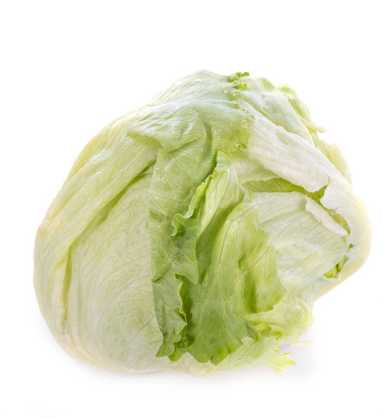 iceberg lettuce in front of white background - 写真・画像