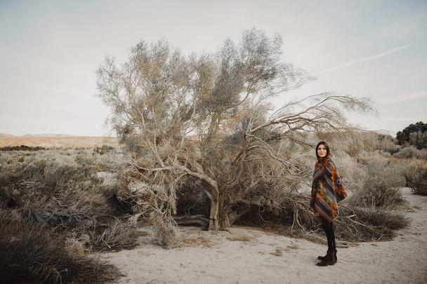 Hymyilevä, kaunis hipster matkustava tyttö mustalainen näyttää aavikon luonnossa. Taiteellinen kuva nuori hipster matkustava tyttö mustalainen katso, Coachella Valley autiomaassa laaksossa Etelä-Kaliforniassa
. - Valokuva, kuva