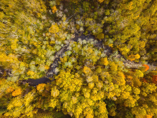 Drone légi felvétel a Neris regionális Park. Park magában foglalja a mintegy 10 000 hektár-Litvánia. - Fotó, kép