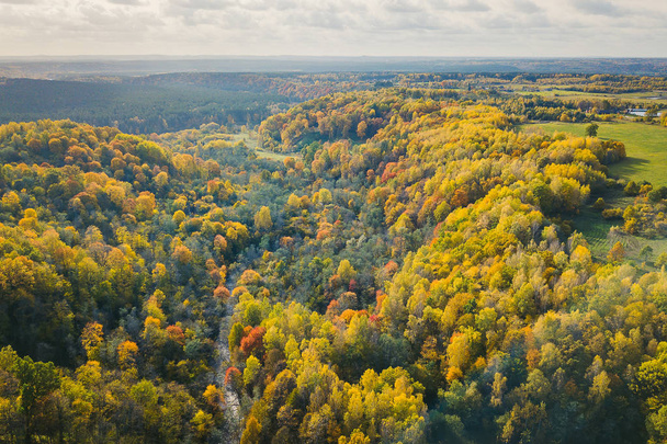 Vista aérea drone do Parque Regional de Neris. Parque abrange cerca de 10.000 hectares na Lituânia
. - Foto, Imagem