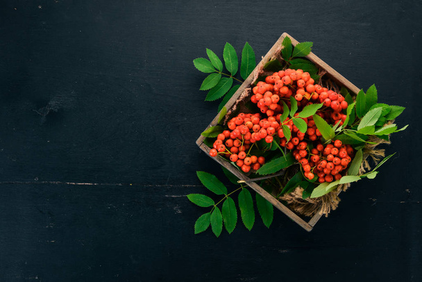 Red rowanberry in a wooden box. On a black wooden background. Top view. Free space for your text. - Foto, Bild