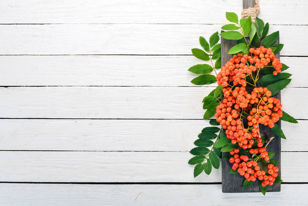 Red ashberry with leaves on a white wooden background. Top view. Free space for your text. - Фото, зображення