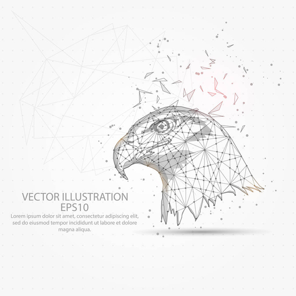 Eagle head abstract mesh line and composition digitally drawn starry sky or space in the form of broken a part triangle shape and scattered dots low poly wire frame. - Vektori, kuva