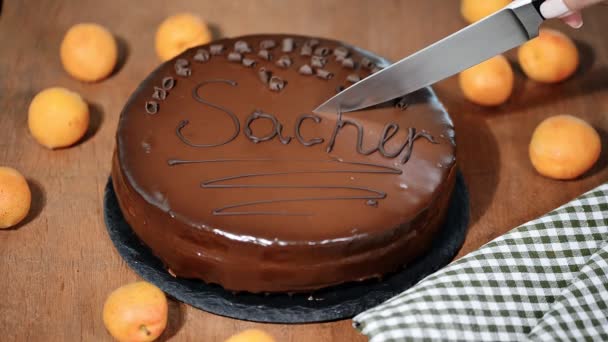 Egy nő vágás egy csokoládé Sacher torta. - Felvétel, videó