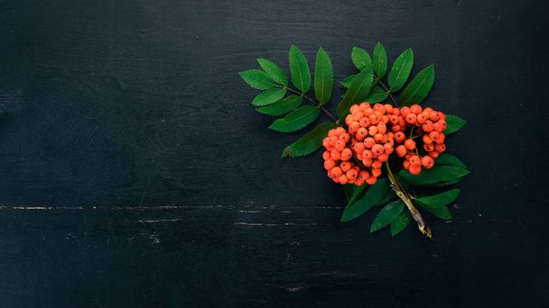 Red ashberry with leaves on a black wooden background. Top view. Free space for your text. - Valokuva, kuva