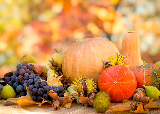 Gezonde voeding, gezond eten - Biologisch seizoensfruit, thanksgiving, oogst op tafel - Foto, afbeelding