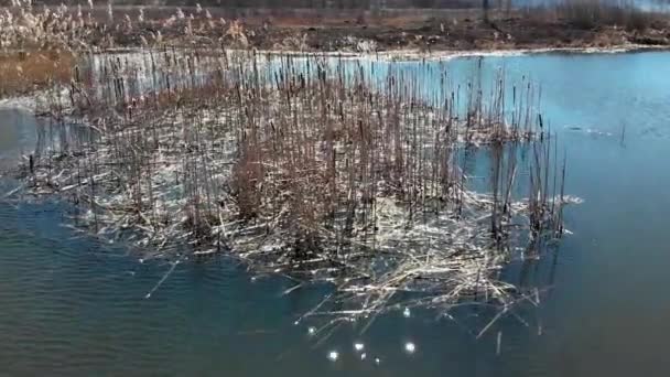 Shot śledzenia wielkie jeziora - Materiał filmowy, wideo