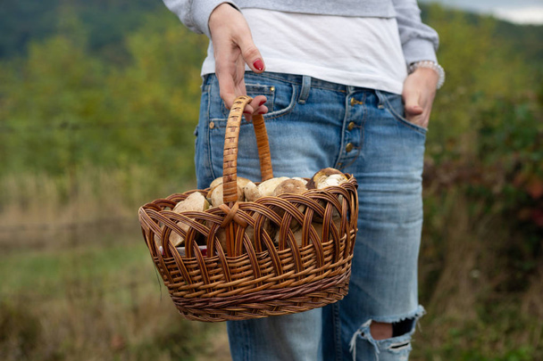 Basket of ceps, in the hand of a girl - Photo, Image