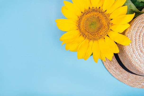 Módní flatlay s slunečnice - Fotografie, Obrázek