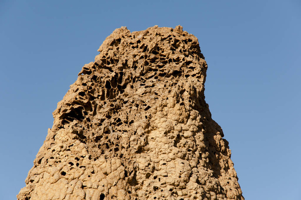 Termitów kopiec tekstury - Kimberley - Australia - Zdjęcie, obraz