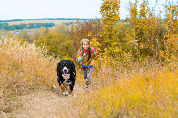 menina correndo com grande cão para andar no prado de outono
 - Foto, Imagem