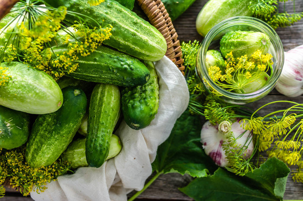 Preparation pickling cucumber. Fresh herbs, dill, garlic and cucumbers in jar. Preserves for winter. - Photo, image