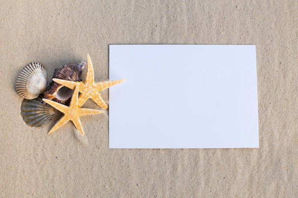 holiday beach concept with shells, seastars and an blank postcard - Photo, Image