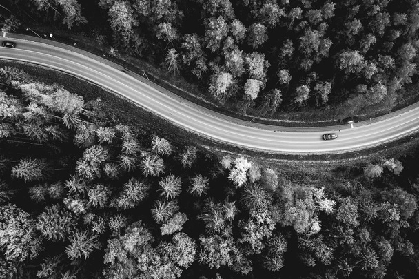 Вид с воздуха на автомобили, проезжающие через лес по проселочной дороге. Каунасский край, Литва. Черно-белое
 - Фото, изображение