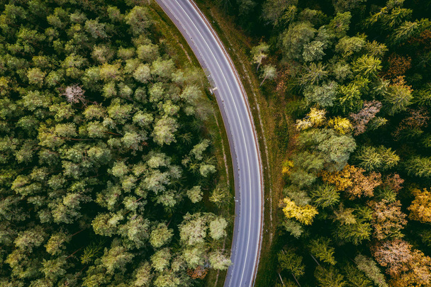 Luftaufnahme einer kurvenreichen Straße durch sattgrüne Wälder im Kreis Kaunas, Litauen - Foto, Bild