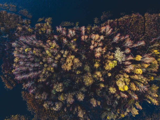 Λίμνη και το φθινόπωρο δάσος σε Κάουνας, Λιθουανία. Εναέρια άποψη κηφήνας. - Φωτογραφία, εικόνα