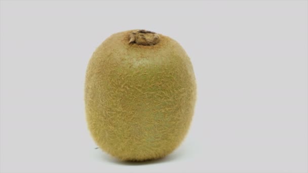 een rijpe kiwi fruit spinnen geïsoleerd op wit - Video