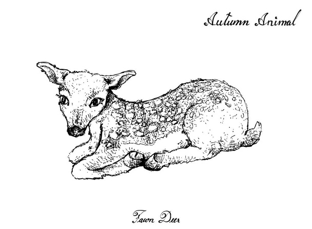 Автум Анимал, рисунок отцовского оленя на белом фоне. Символическое животное покажет признаки осеннего сезона
. - Вектор,изображение