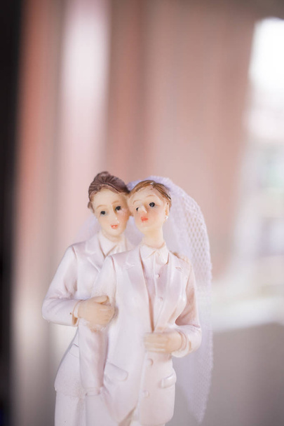 Cake topper lesbian wedding couple of two male brides holding romantic marriage embrace of LGBT love. - Fotografie, Obrázek