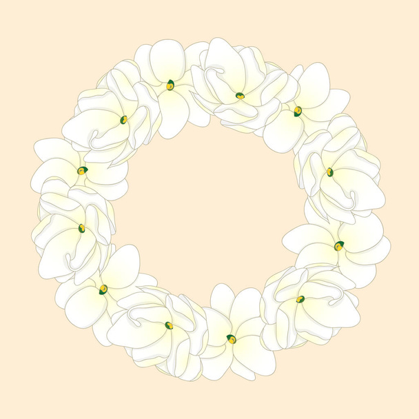 Jasminum sambac - Arabian Jasmine Wreath. Vector Illustration. - Vector, Image