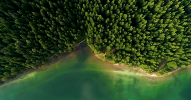 Hava görünümü yeşil ormanlar ve mavi göl güneşli yaz gününde kara göl, Karadağ - Video, Çekim