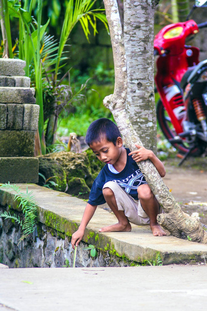 2009.10.08, Ubud, Bali. Different emotions of Indonesian children. Travel around Bali. - Foto, immagini