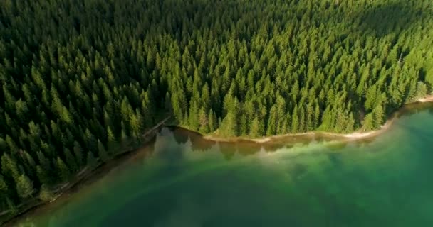 Εναέρια άποψη του μπλε λίμνη και τα καταπράσινα δάση σε μια ηλιόλουστη καλοκαιρινή μέρα στη μαύρη λίμνη, Μαυροβούνιο - Πλάνα, βίντεο