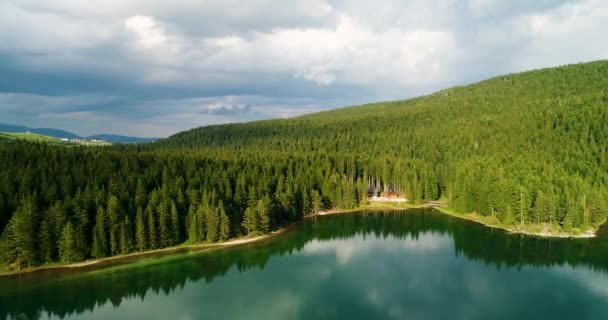 Luchtfoto van blue lake en groene bossen op een zonnige zomerdag in Black Lake, Montenegro - Video