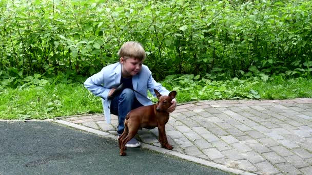 Giovane ragazzo con cane in verde parco sfondo rallentatore
. - Filmati, video